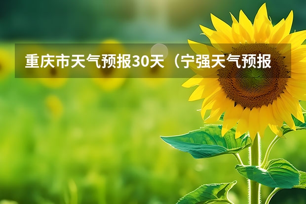 重庆市天气预报30天（宁强天气预报宁强天气预报15天）
