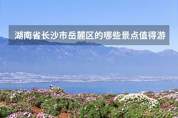 湖南省长沙市岳麓区的哪些景点值得游客参观？